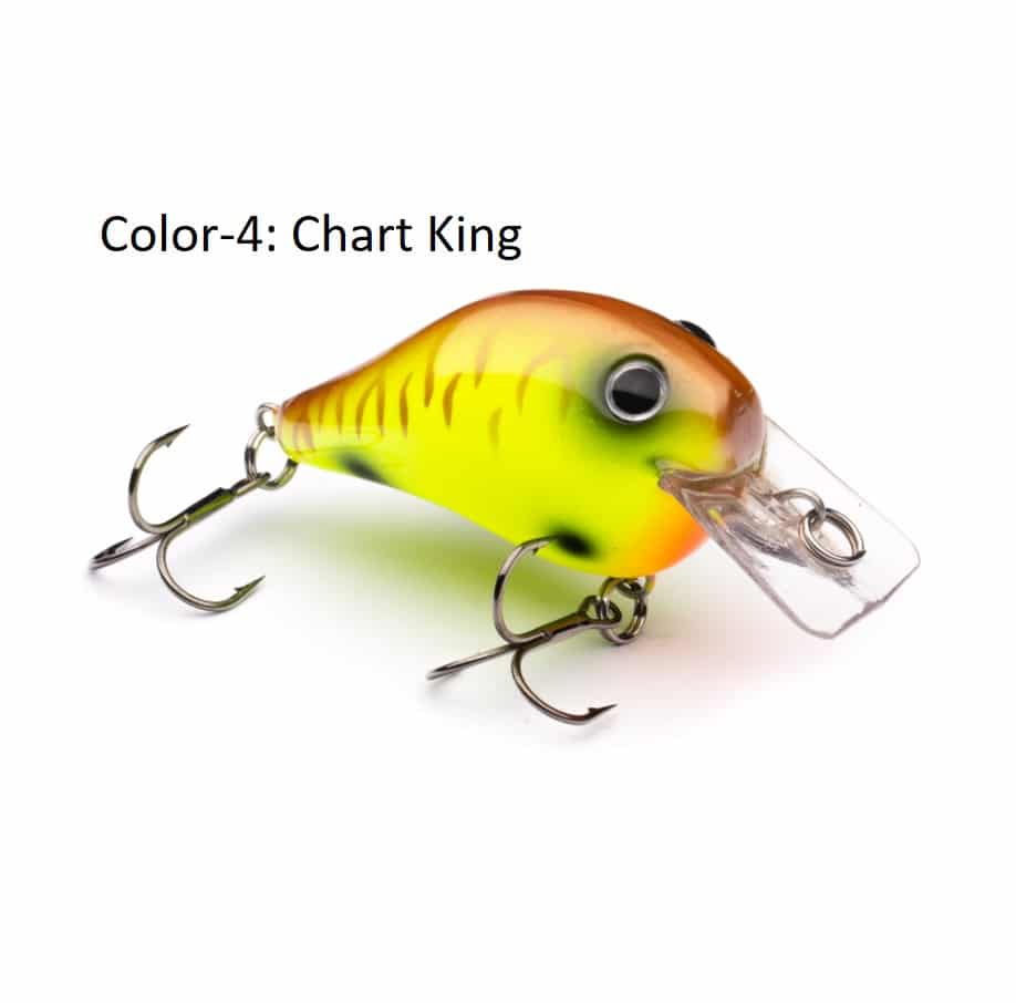 PHAT BOY - Chart King - Dives to 4ft