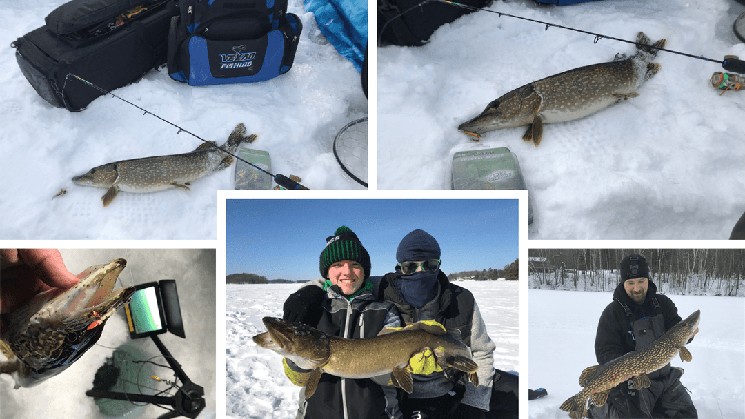 Iced Pike on a Light Stick