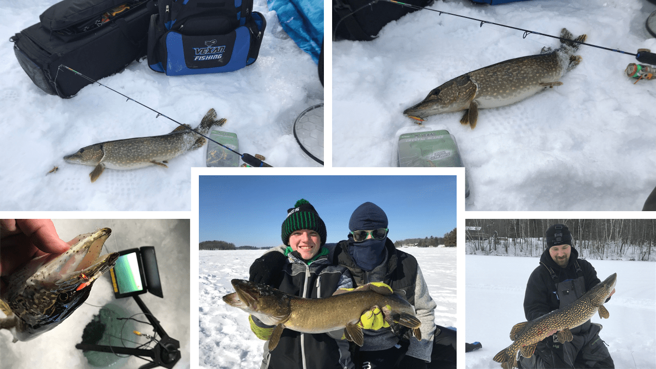 Iced Pike on a Light Stick