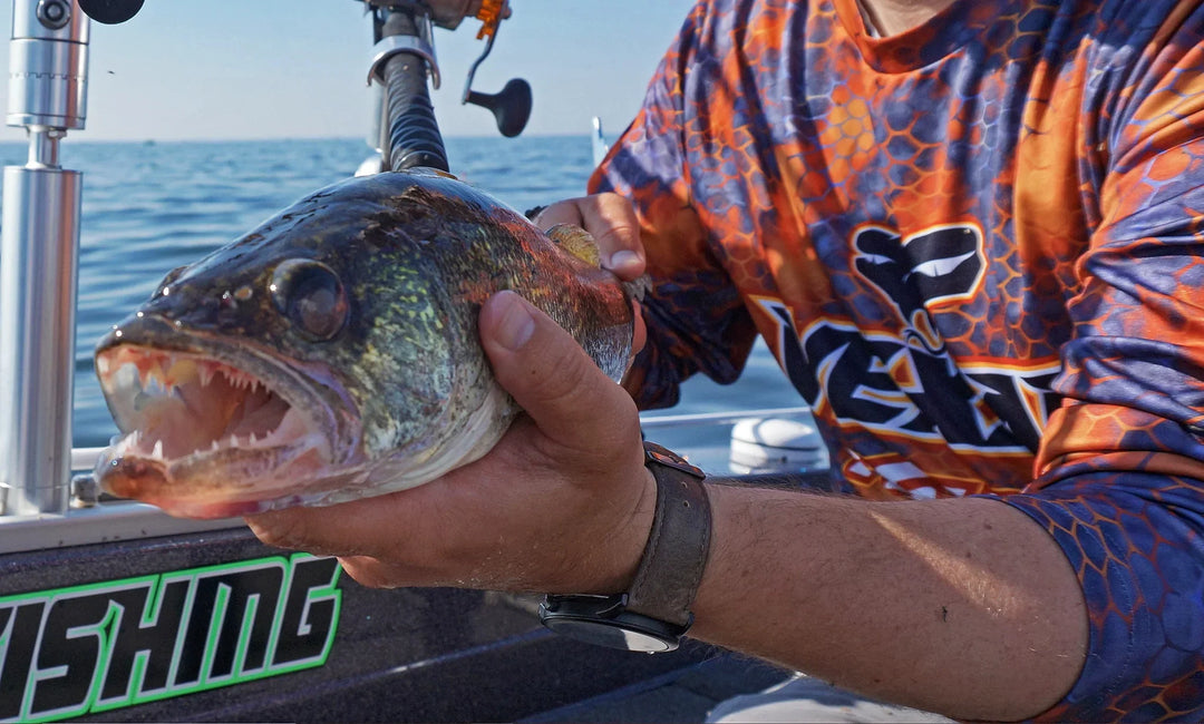 Vexan's Walleye Buyer's Guide: Choosing A Rod For Every Technique