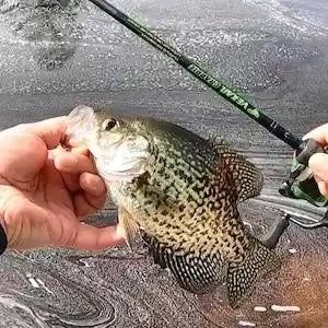 Crappie Rods