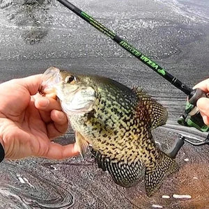 Crappie Rods