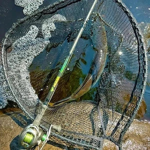Muskie Rods
