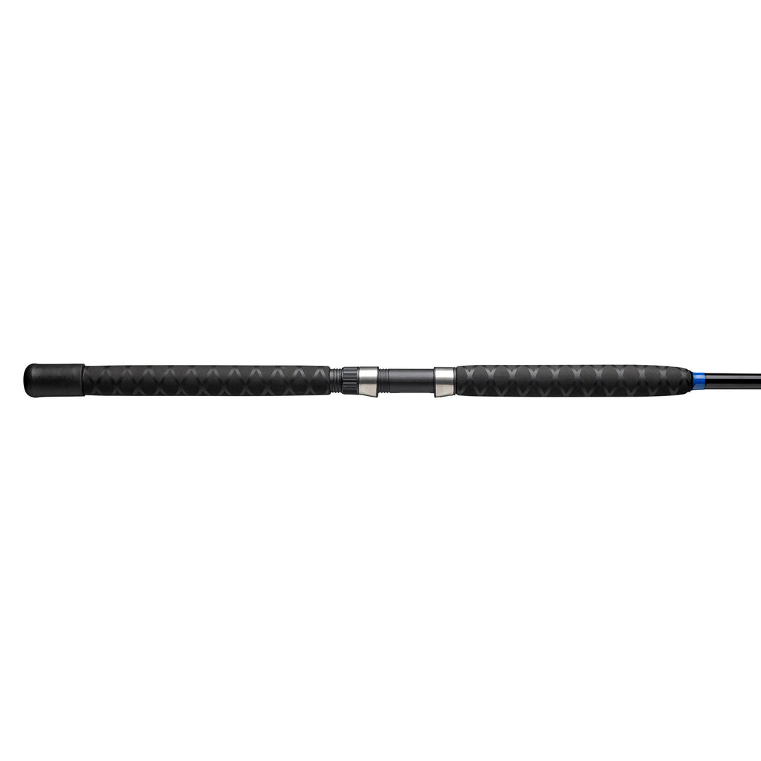 Catfish Fishing Rods