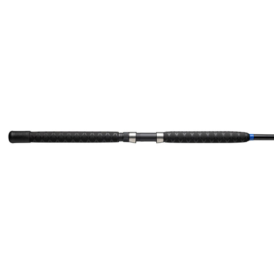 Catfish Fishing Rods
