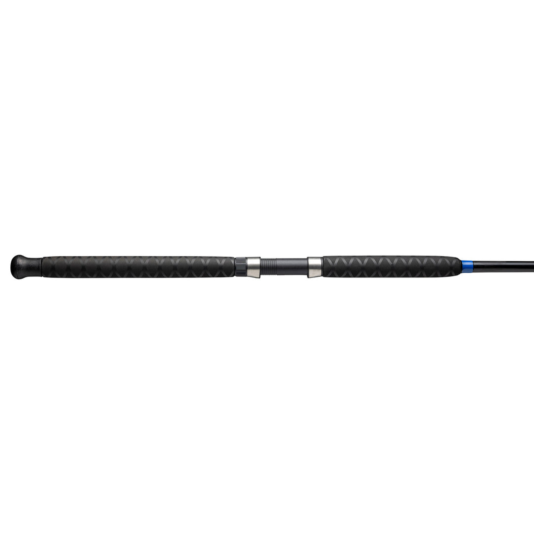 catfish fishing pole Catfish Fishing Rods