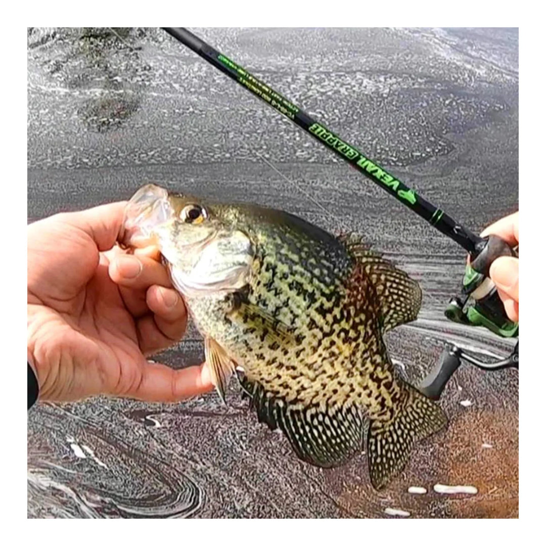 15.5 foot crappie fishing pole VEXAN® Crappie Rods & Panfish Rods