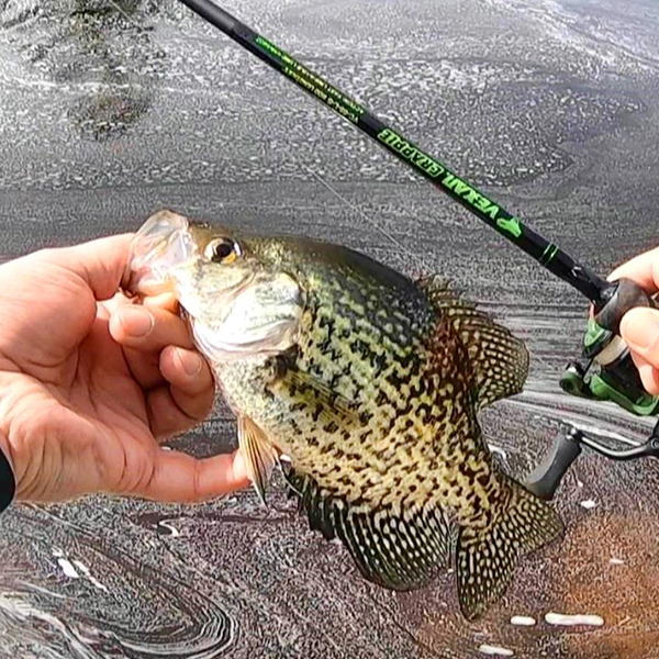 VEXAN® Crappie Rods &amp; Panfish Rods