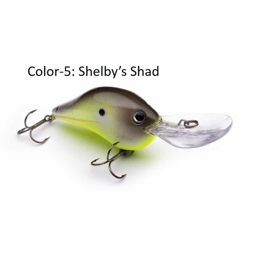 PHAT BOY - Shelby&