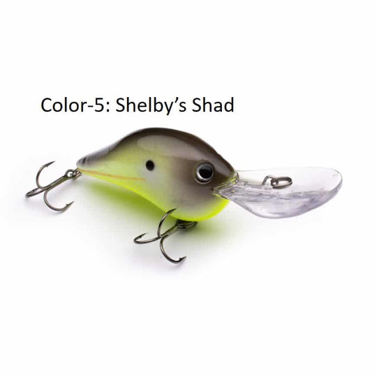 PHAT BOY - Shelby&