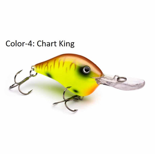 PHAT BOY - Chart King - Dives to 8ft
