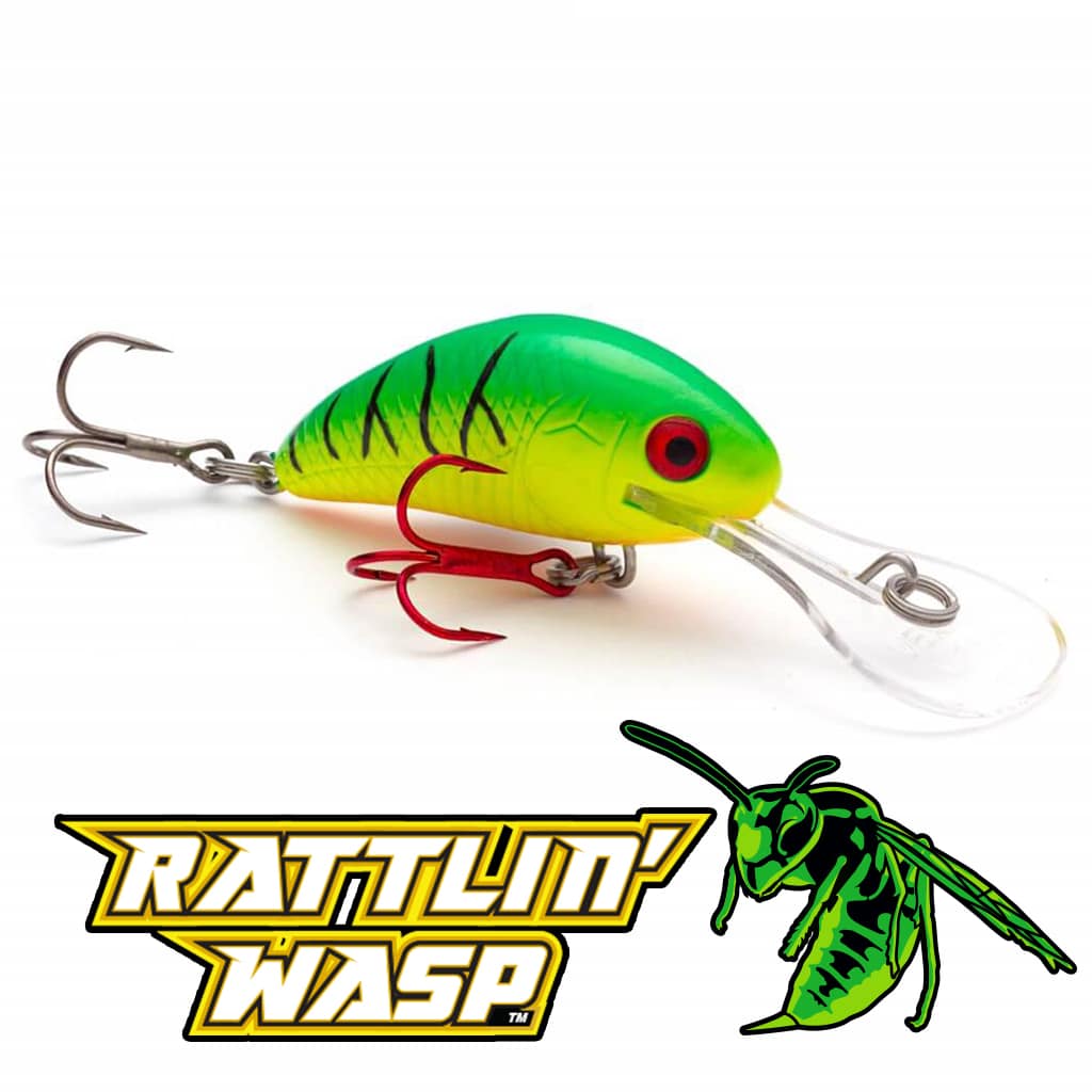 Rattlin Wasp Feature Image
